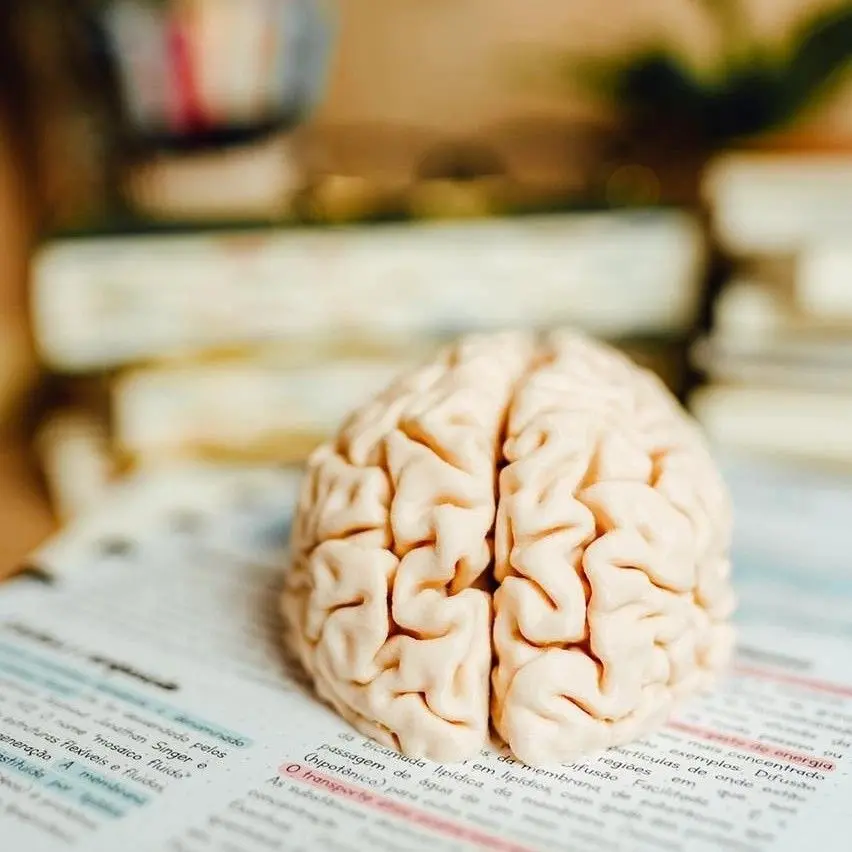 neuropsikologia Bilbon