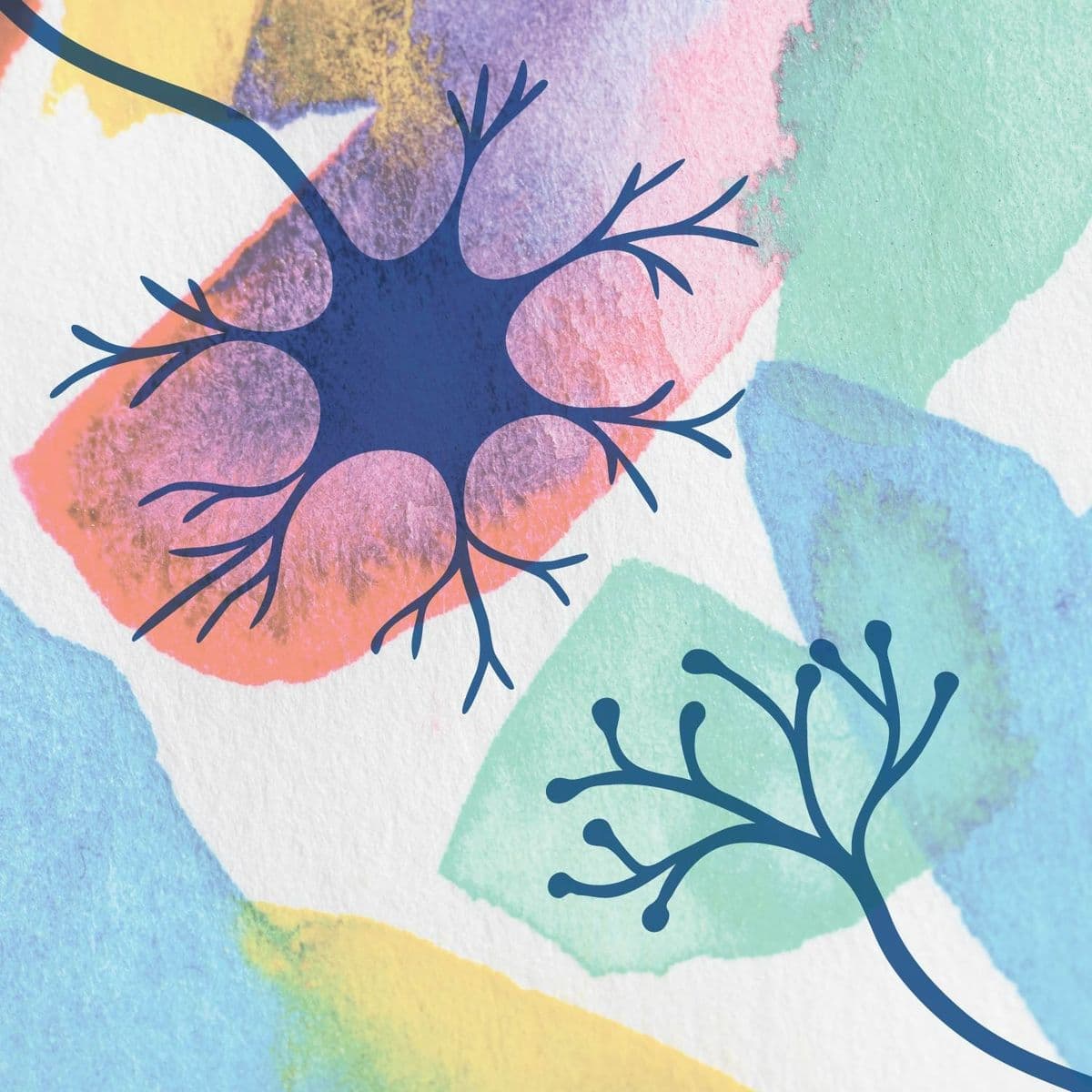 neuropsikologia bilbon